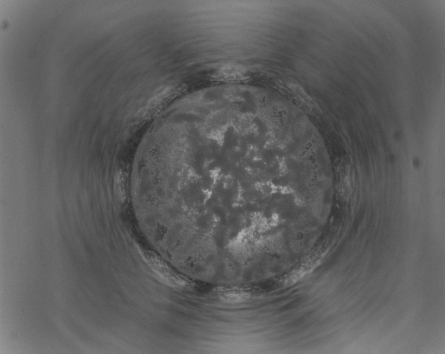 X0000077390658200611032003