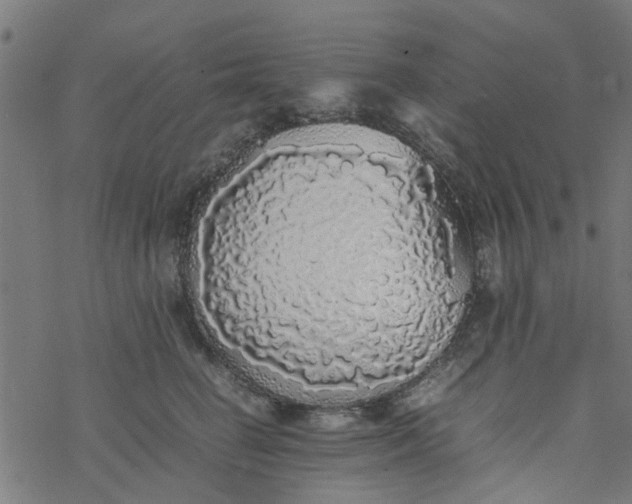 X0000077390662200611032003