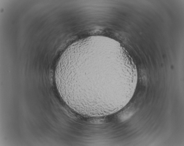 X0000077390664200611032003