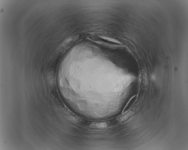 X0000077390665200611032003