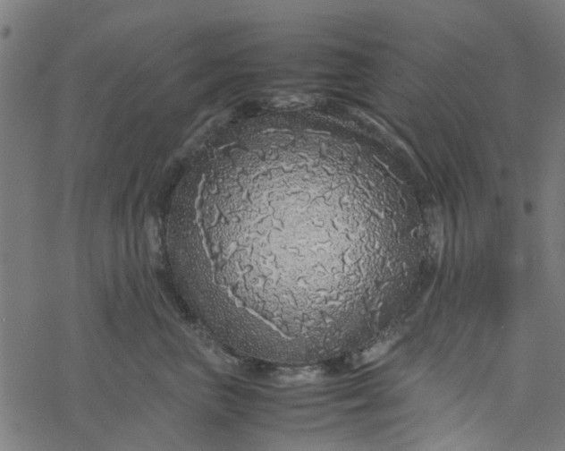 X0000077390667200611032003