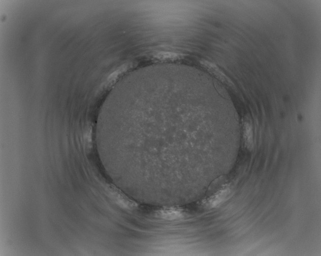 X0000077390668200611032003