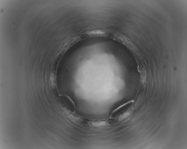 X0000077390669200611032003