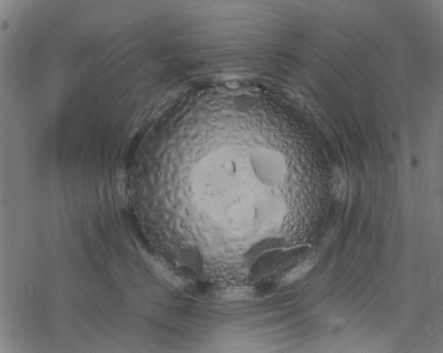 X0000077390670200611032003