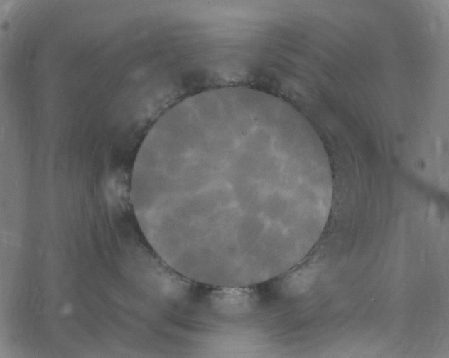 X0000077390672200611032003