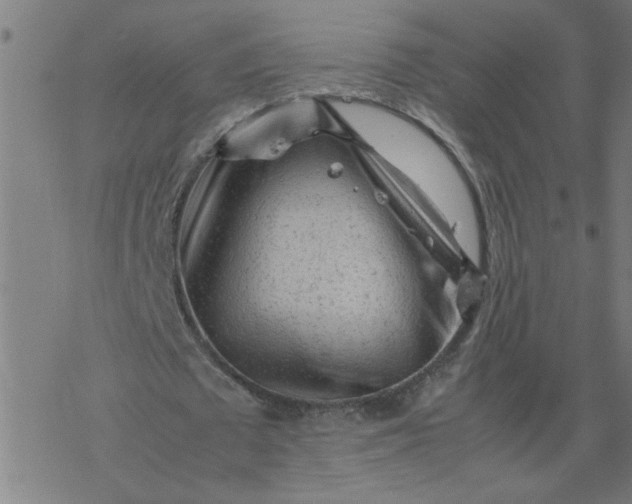 X0000077390673200611032002