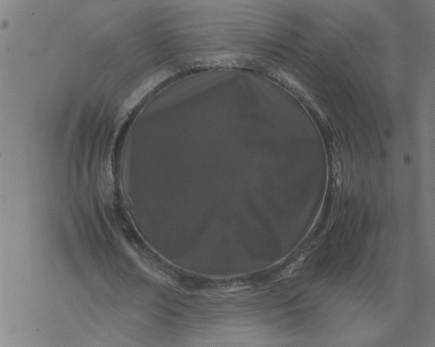 X0000077390674200611032002