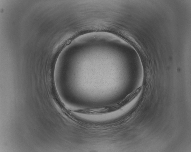 X0000077390677200611032002