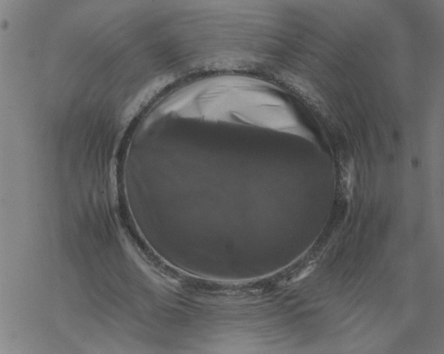 X0000077390678200611032002