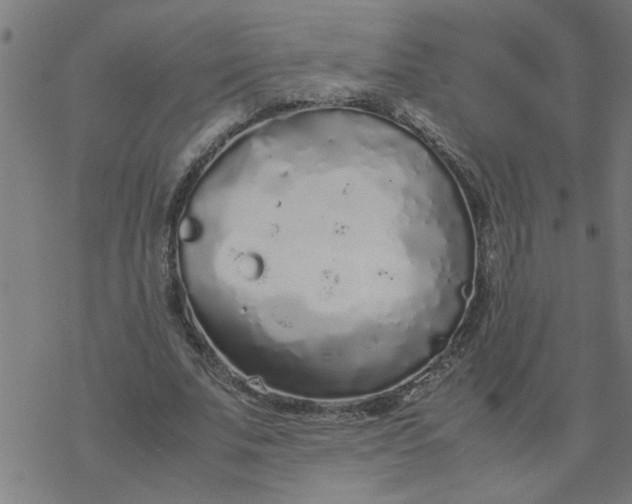 X0000077390679200611032002