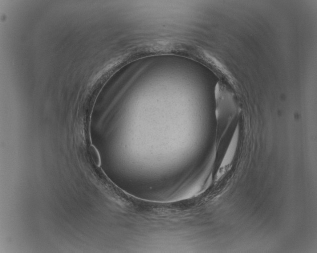 X0000077390681200611032002