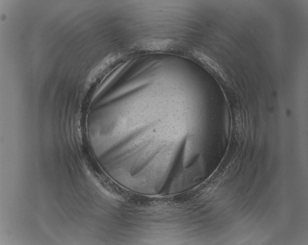 X0000077390682200611032002