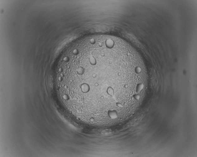 X0000077390683200611032002