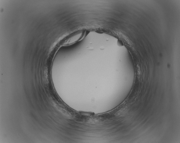 X0000077390684200611032002