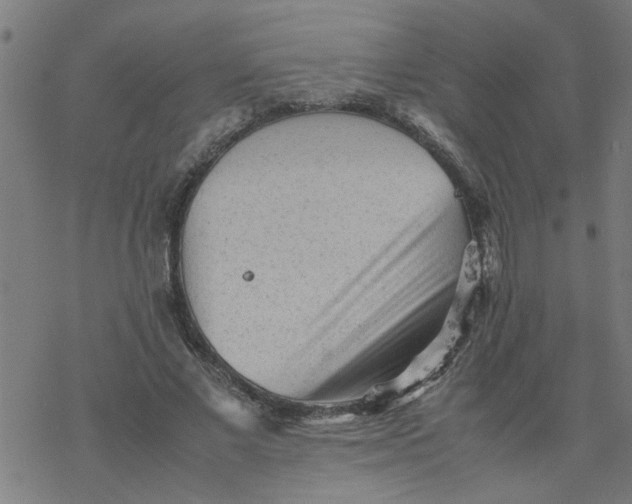 X0000077390685200611032002