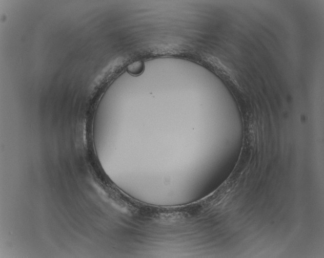 X0000077390686200611032002