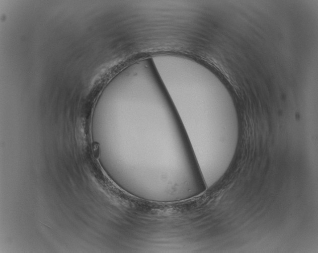 X0000077390688200611032002