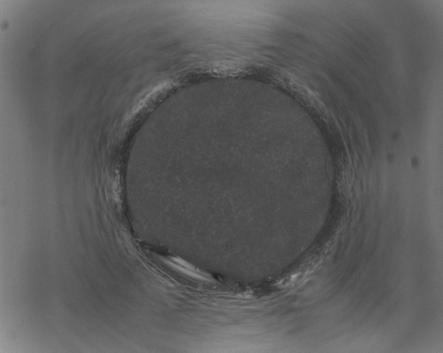 X0000077390689200611032002