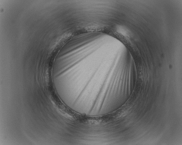 X0000077390690200611032002