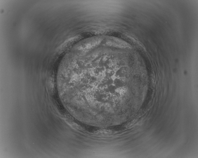 X0000077390691200611032002