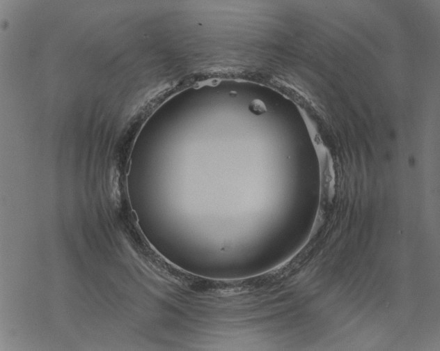 X0000077390692200611032002