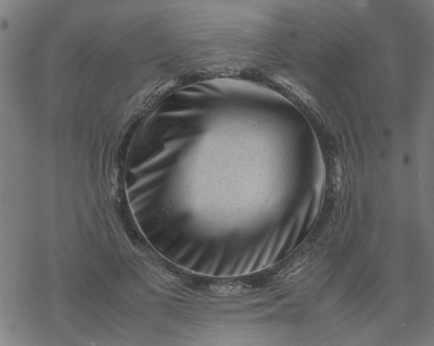 X0000077390693200611032002