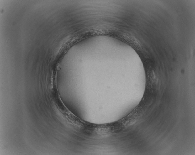 X0000077390694200611032002