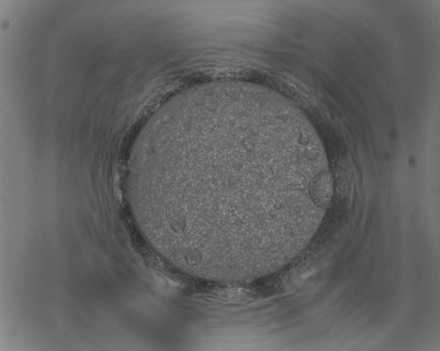 X0000077390695200611032002