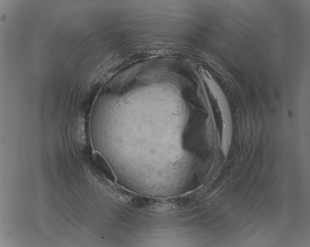 X0000077390696200611032002