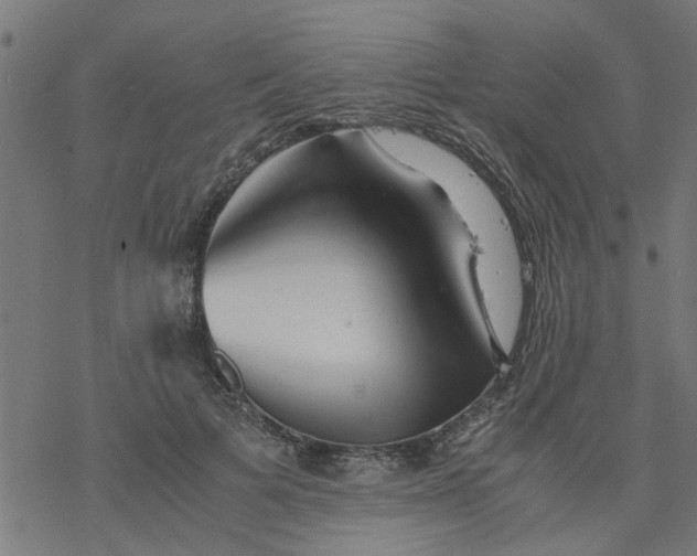 X0000077390697200611032002