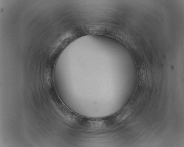 X0000077390698200611032002