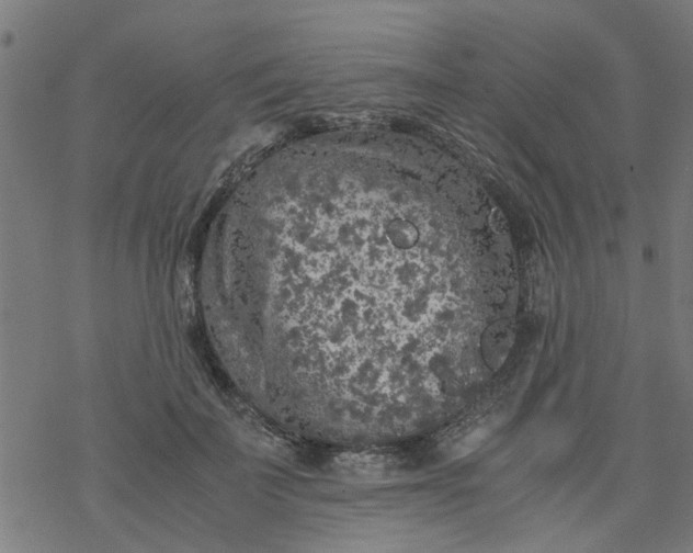 X0000077390699200611032002