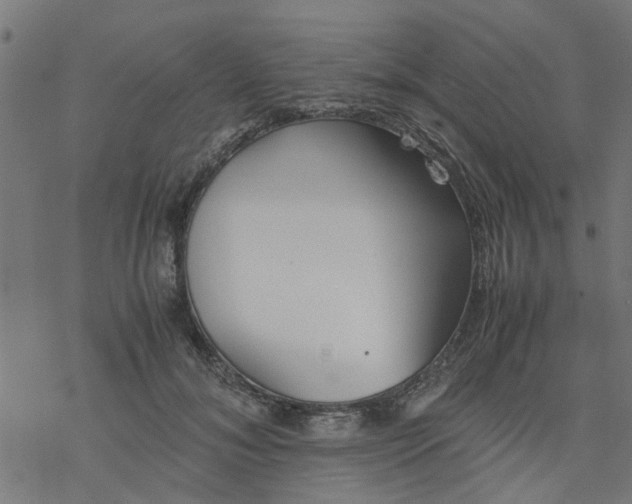 X0000077390700200611032002