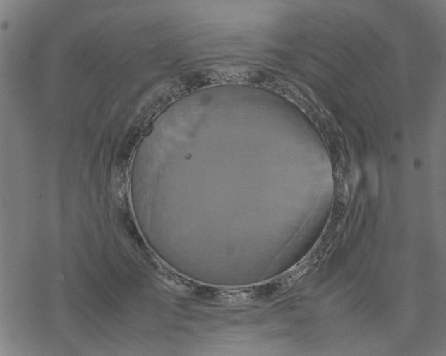 X0000077390701200611032002