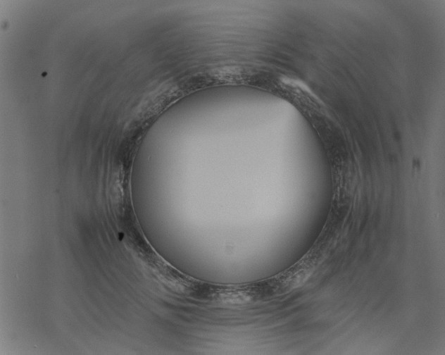 X0000077390702200611032002