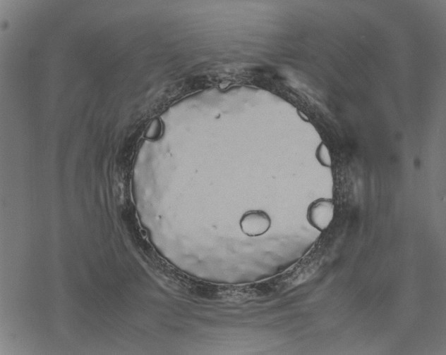 X0000077390703200611032002