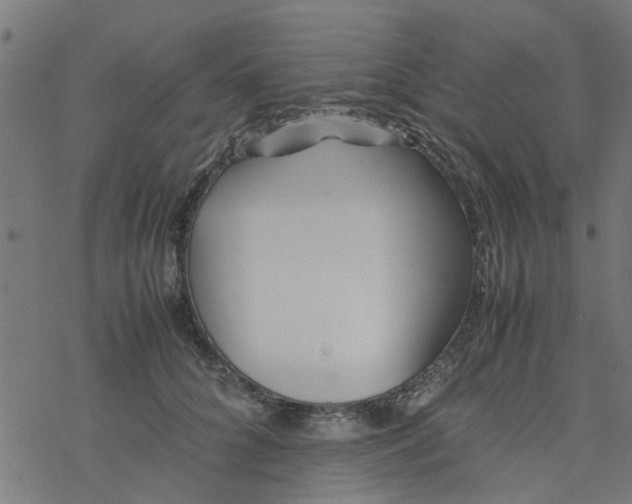 X0000077390704200611032002