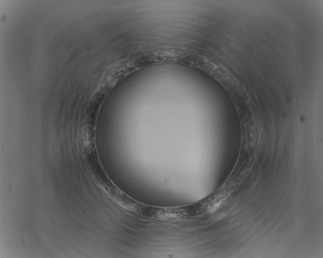 X0000077390706200611032002