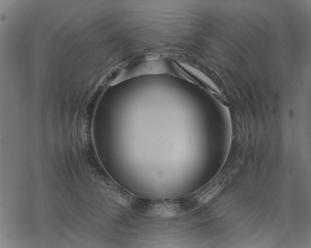 X0000077390708200611032001