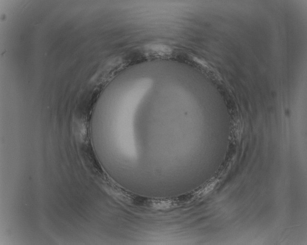 X0000077390709200611032001