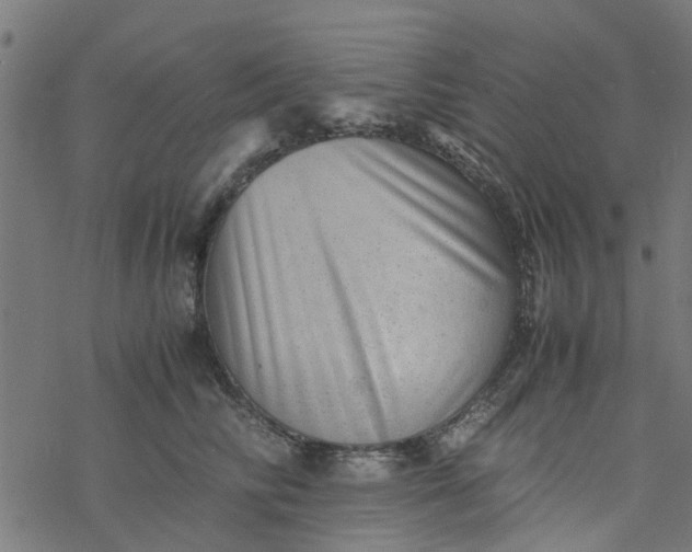 X0000077390710200611032001