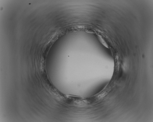 X0000077390712200611032001