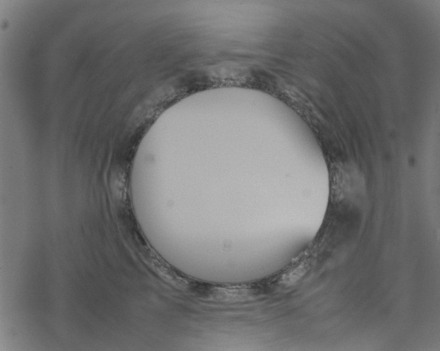 X0000077390713200611032001