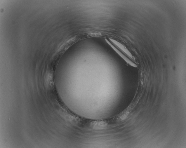 X0000077390714200611032001