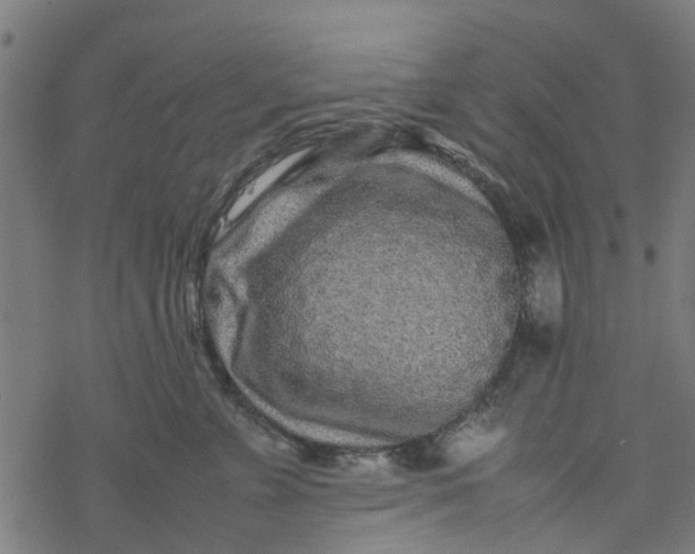 X0000077390715200611032001