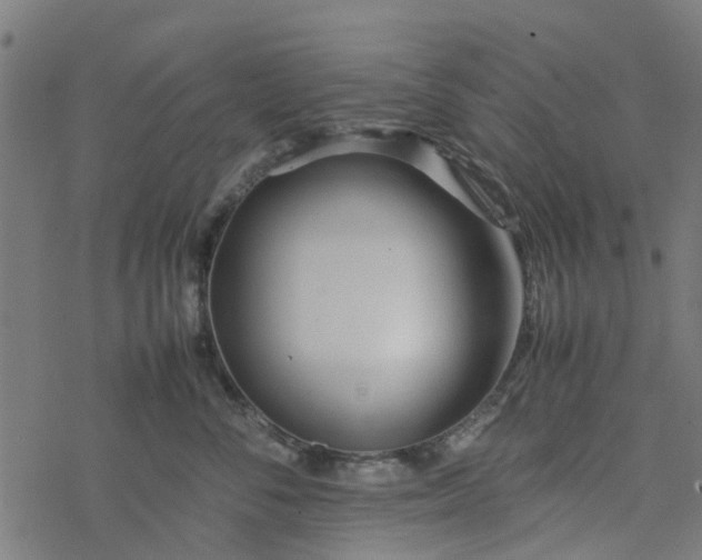 X0000077390716200611032001