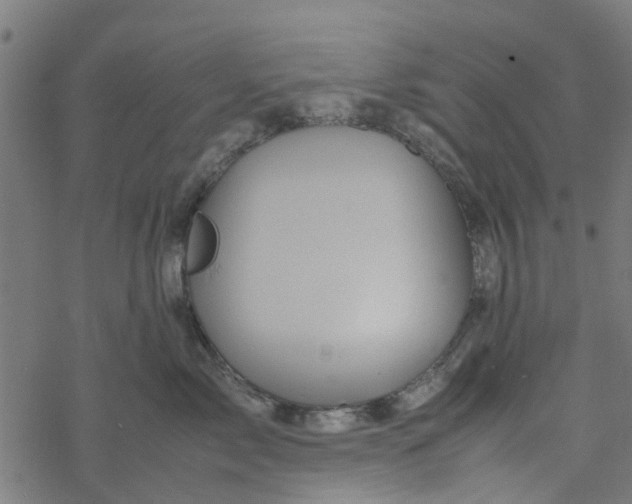 X0000077390717200611032001