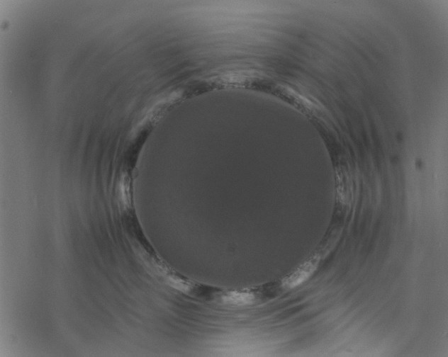 X0000077390718200611032001