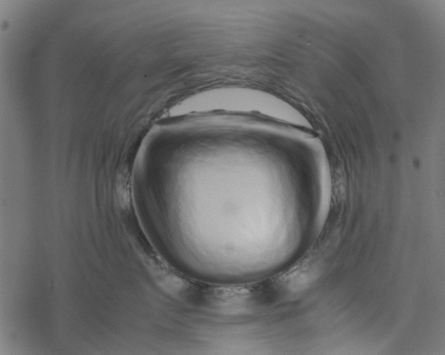 X0000077390719200611032001