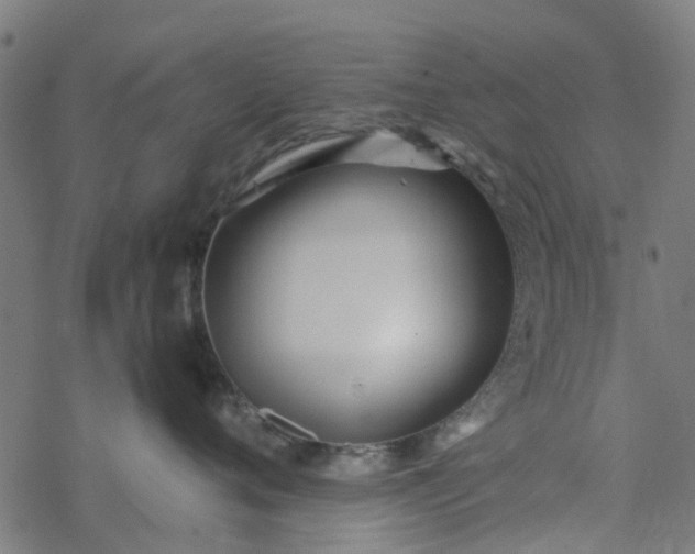 X0000077390720200611032001